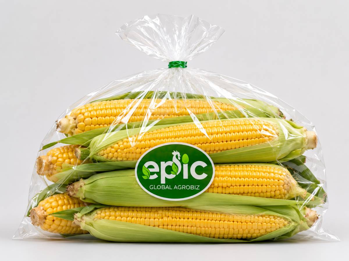 Sweet Corn